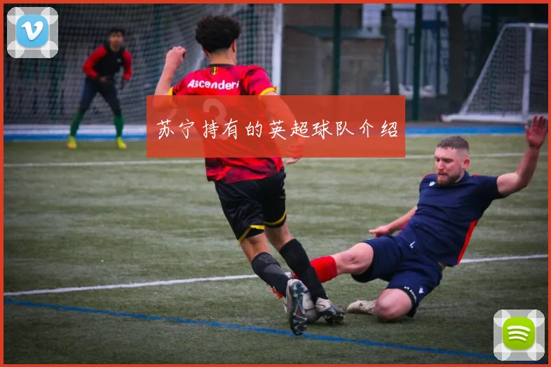 苏宁持有的英超球队介绍